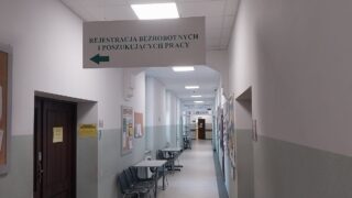 Powiat ostródzki: Nowe oferty pracy (15.09-22.09)