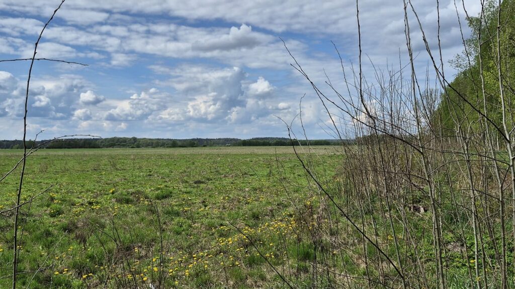 Ziemia I Budynki Do Kupienia. Krajowy Ośrodek Wsparcia Rolnictwa Podał Listę Przetargową!
