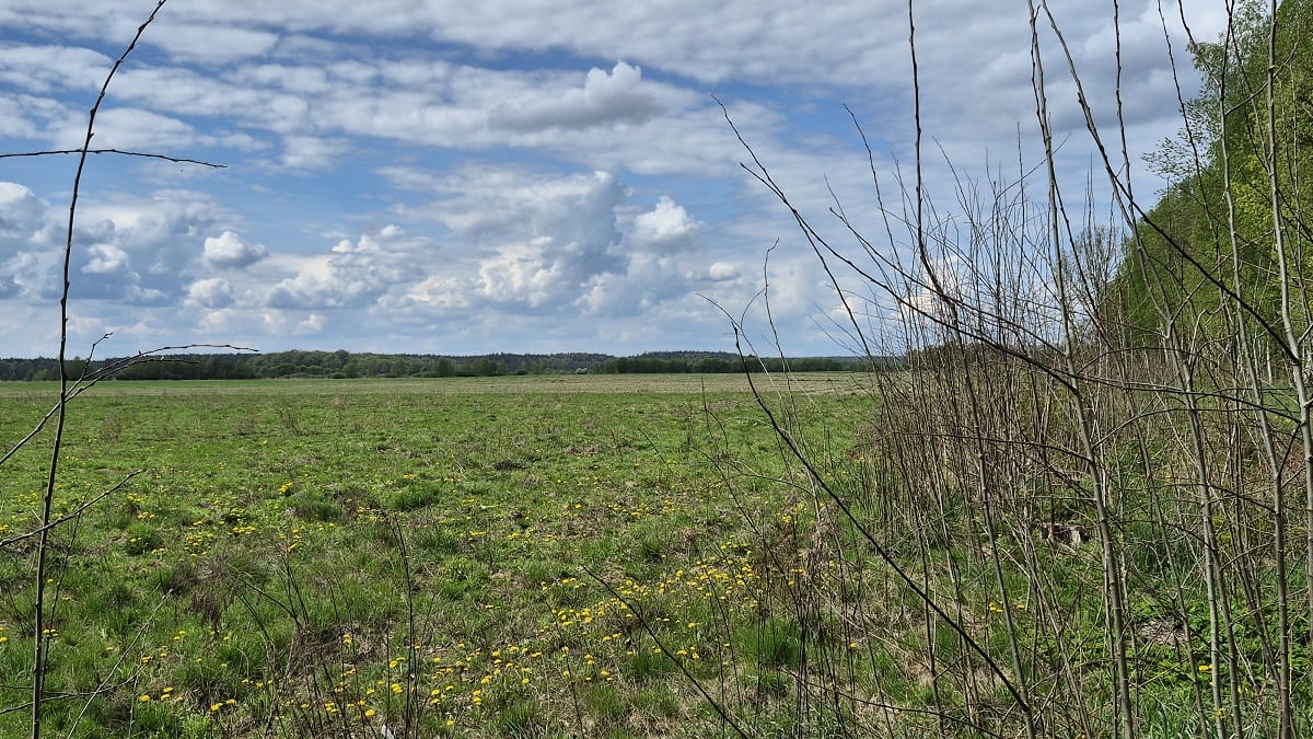 Ziemia I Budynki Do Kupienia. Krajowy Ośrodek Wsparcia Rolnictwa Podał Listę Przetargową!