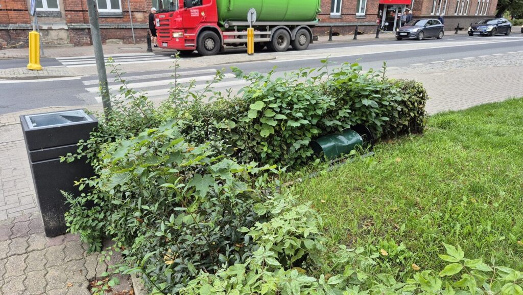 Ostróda: Przybyło Koszy Na Śmieci. Egzamin Z Czystości Zdany Na Czwórkę!
