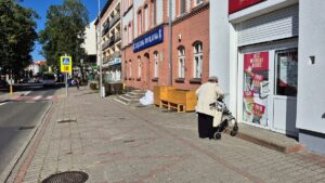 Ogród deszczowy w Ostródzie. Ekipa z Bagien zbudowała prototyp! 19 Ogród Deszczowy W Ostródzie. Ekipa Z Bagien Zbudowała Prototyp!