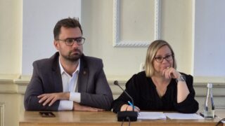 Komary w Ostródzie. Oprysków nie będzie. Władza czeka na nietoperze i jerzyki.