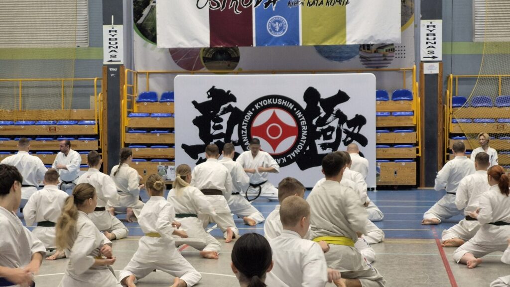 Sanbon 2025 - Japonia przyjechała do Ostródy! 10 Sanbon 2025 - Japonia Przyjechała Do Ostródy!