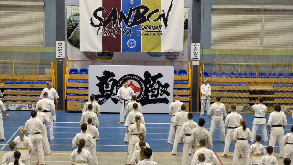 Sanbon 2025 - Japonia przyjechała do Ostródy! 9 Sanbon 2025 - Japonia Przyjechała Do Ostródy!
