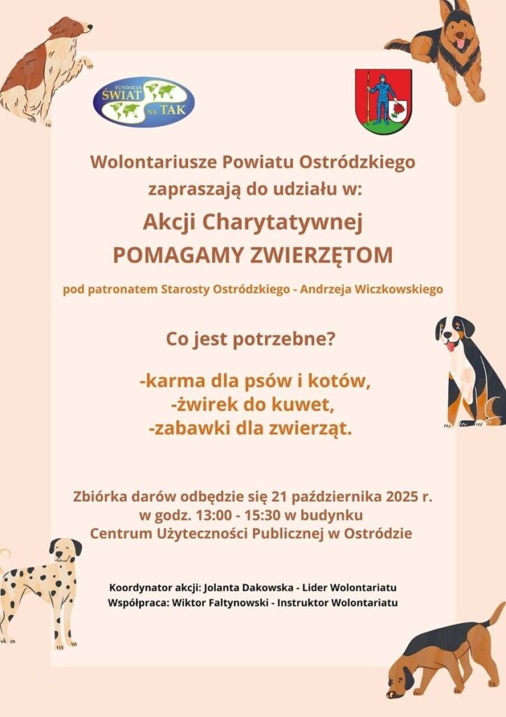 Nakarm Dzika Z Bukwałdu. Trwa Zbiórka Żołędzi Dla Dzików!