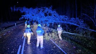 Wichura w powiecie ostródzkim - strażacy mieli pracowitą noc