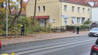 Dmuchawy zamienili na miotły. Prośba radnego Krzyżanowskiego spełniona.