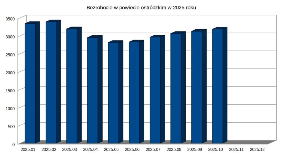Sytuacja na rynku pracy w powiecie ostródzkim. W pośredniaku również cudzoziemcy 4 Jesień Na Rynku Pracy W Powiecie Ostródzkim.