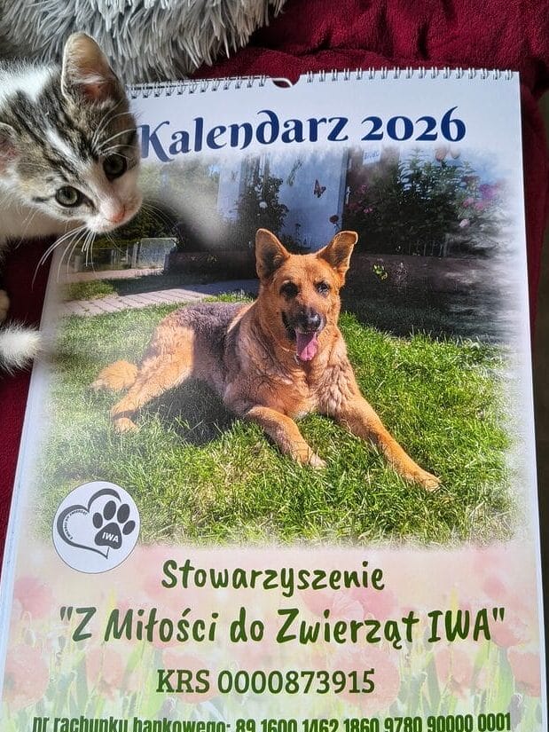 Kalendarz 2026