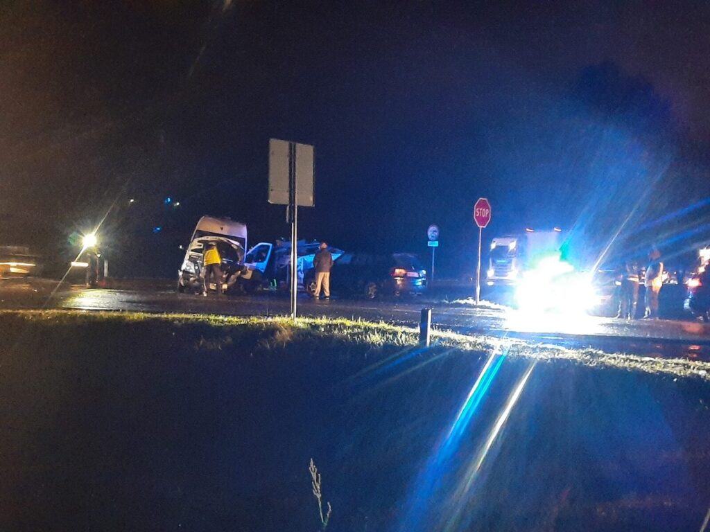 Suczka Rosa Walczy O Życie Po Karambolu Pod Ostródą