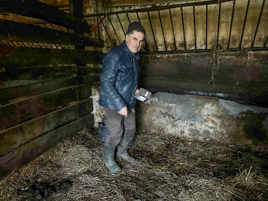 Region: Zaginął koń! „Błagam – oddajcie mi mojego Takta!” 2 Koń Ogier Takt