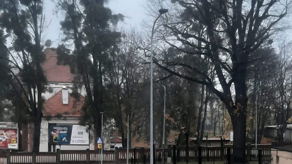 Ciemność, Widzę Ciemność…To Zgłaszam Do Urzędu!