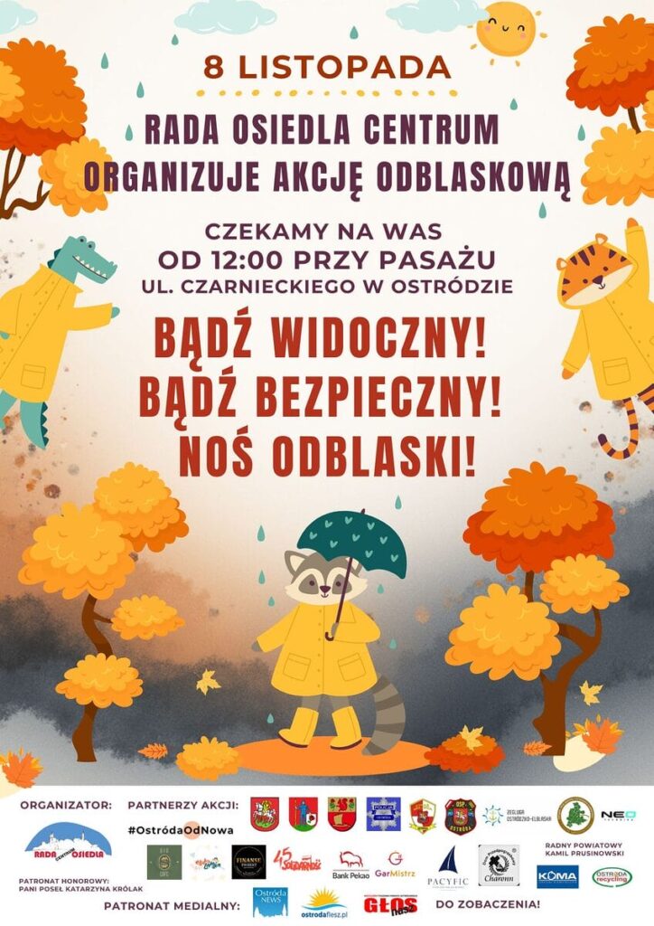 Potrącenie pieszego na przejściu przy Rybolu w Ostródzie 3 Potrącenie Pieszego Na Przejściu Przy Rybolu W Ostródzie