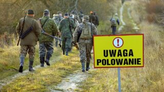 Uwaga Polowanie, myśliwi wchodzą do lasów w powiecie ostródzkim!