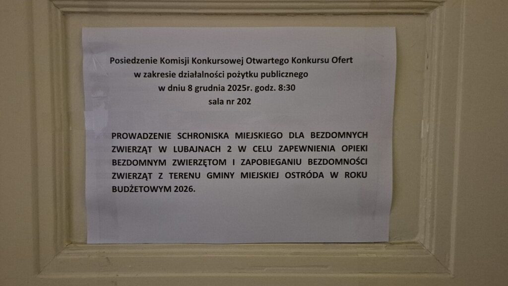 Schronisko w Ostródzie - komisja wybrała za zamkniętymi drzwiami 3 Schronisko W Ostródzie - Komisja Wybrała Operatora Na 2026 Rok