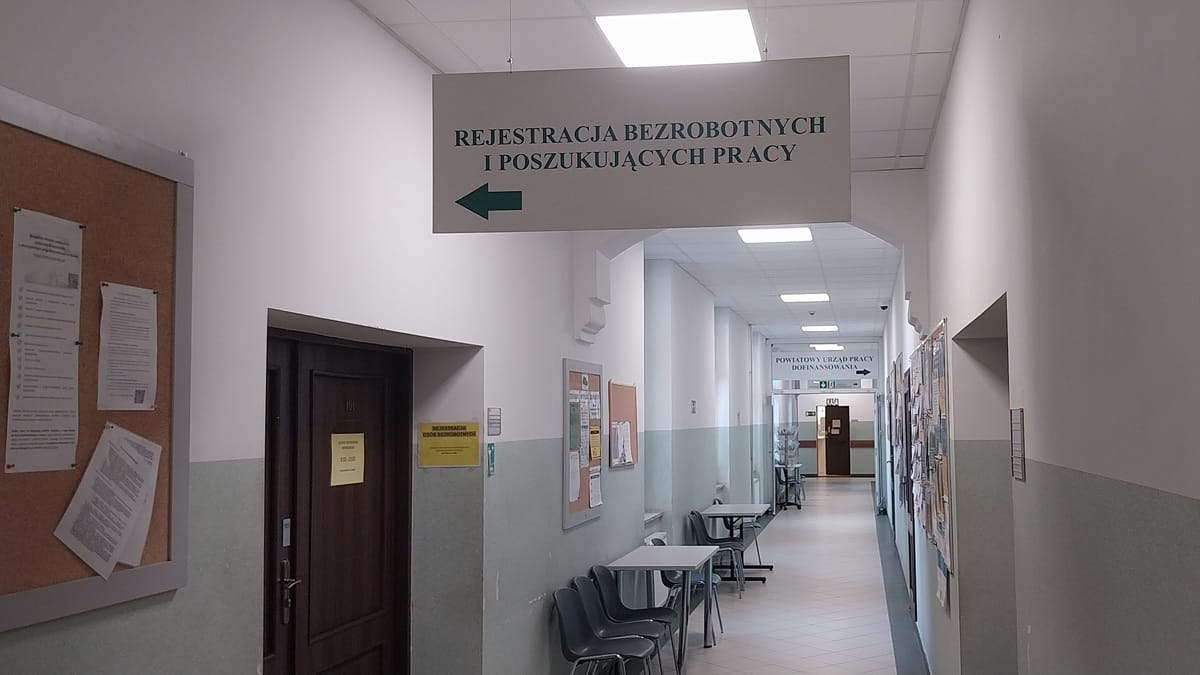 Powiat ostródzki: Nowe oferty pracy (08.12-15.12) 1 Powiat Ostródzki: Nowe Oferty Pracy (08.12-15.12)