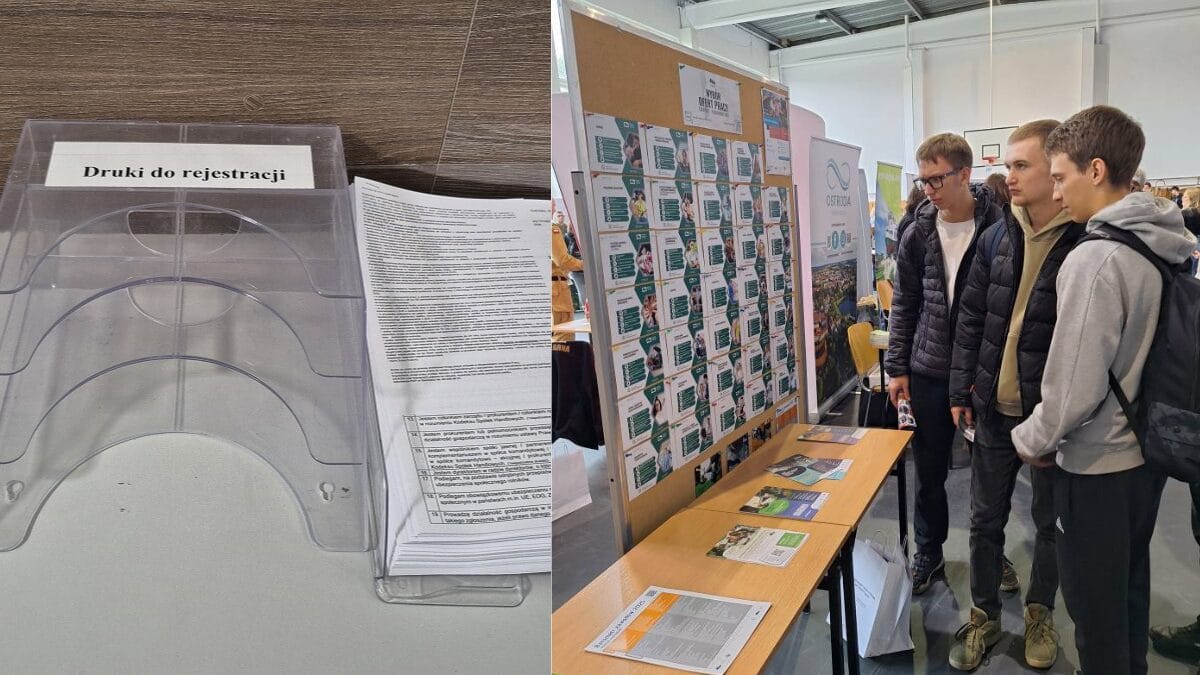 Powiat ostródzki: Nowe oferty pracy (01.12-08.12) 1 Powiat Ostródzki: Nowe Oferty Pracy (01.12-08.12)