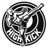 Dragon Fighter z trzema medalami na zawodach HIGH KICK League – perfekcyjny start roku! 6 468888195 1014633127352070 554590202543415638 N