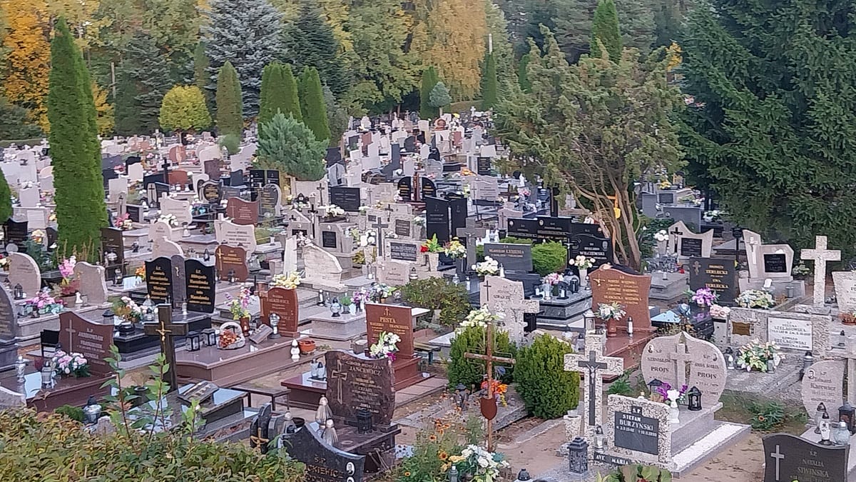 Statystyki Są Bezwzględne — Ostróda Się Wyludnia!