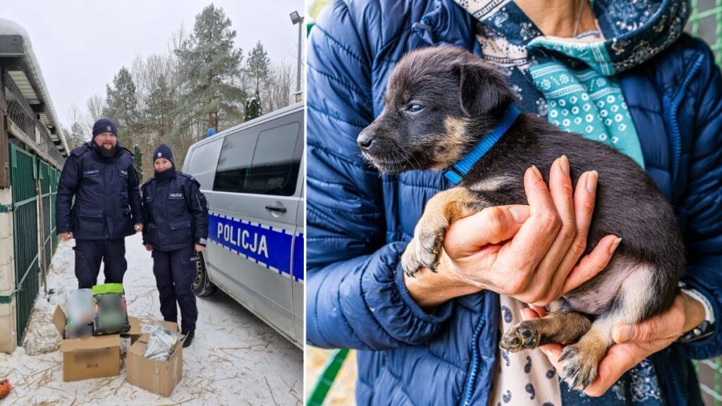 Nie bądźmy obojętni! Policjanci z Morąga ruszyli na pomoc zwierzętom. Trwają kontrole w całym powiecie 14 policja