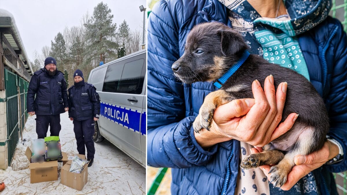 Nie bądźmy obojętni! Policjanci z Morąga ruszyli na pomoc zwierzętom. Trwają kontrole w całym powiecie 1 Policja
