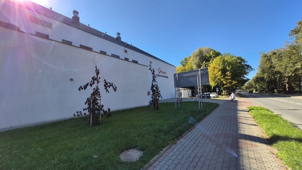 Kolonoskopia Na Luty A Żylaki Na Wrzesień. Sprawdzamy Terminy W Szpitalach W Powiecie Ostródzkim