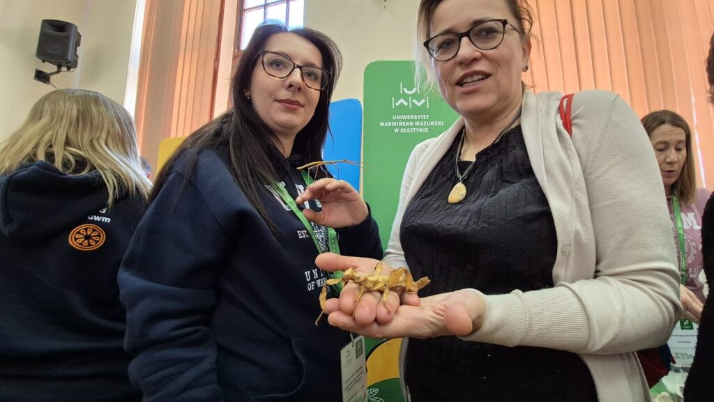 Festiwal Nauki w Ostródzie — były patyczaki, popcorn i loteria fantowa 13 Festiwal Nauki W Ostródzie — Były Patyczaki, Popcorn I Loteria Fantowa
