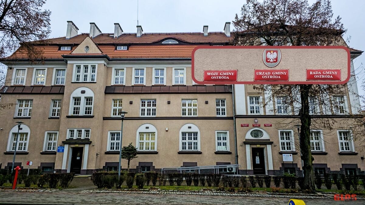 Powiat ostródzki: Nowe oferty pracy (26.01-02.02) 1 Powiat Ostródzki: Nowe Oferty Pracy (26.01-02.02)