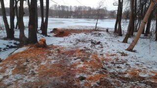 Deweloper wyrąbał drzewa nad jeziorem. Rusza budowa w Kajkowie