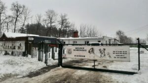Miasto Ostróda Zajmie Się Bezdomnymi Psami Z Gminy Ostróda