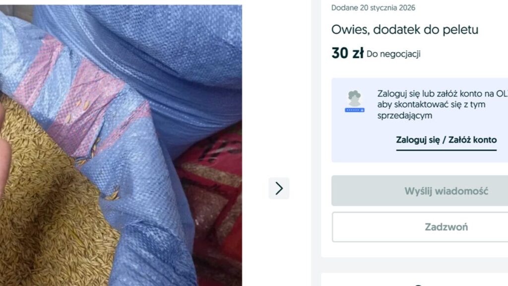 Owies na opał. Rolnicy z powiatu ostródzkiego sprzedają alternatywę dla pelletu