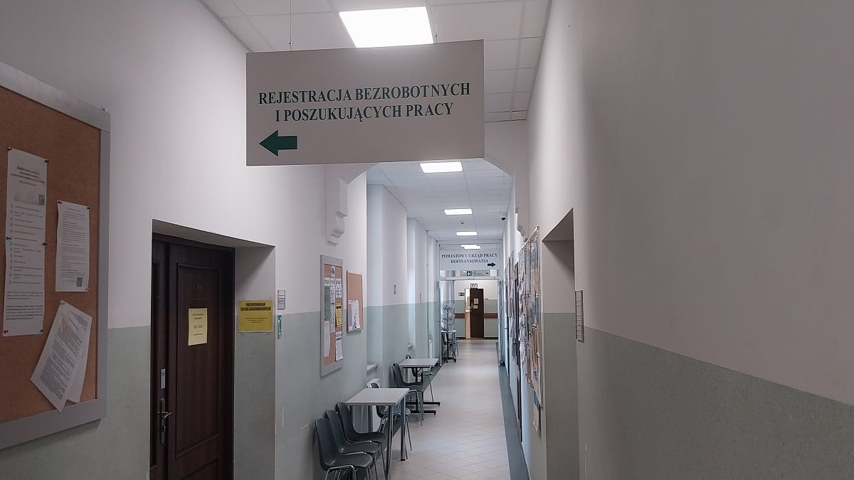Powiat ostródzki: Nowe oferty pracy (02.02-09.02) 1 Powiat Ostródzki: Nowe Oferty Pracy (02.02-09.02)