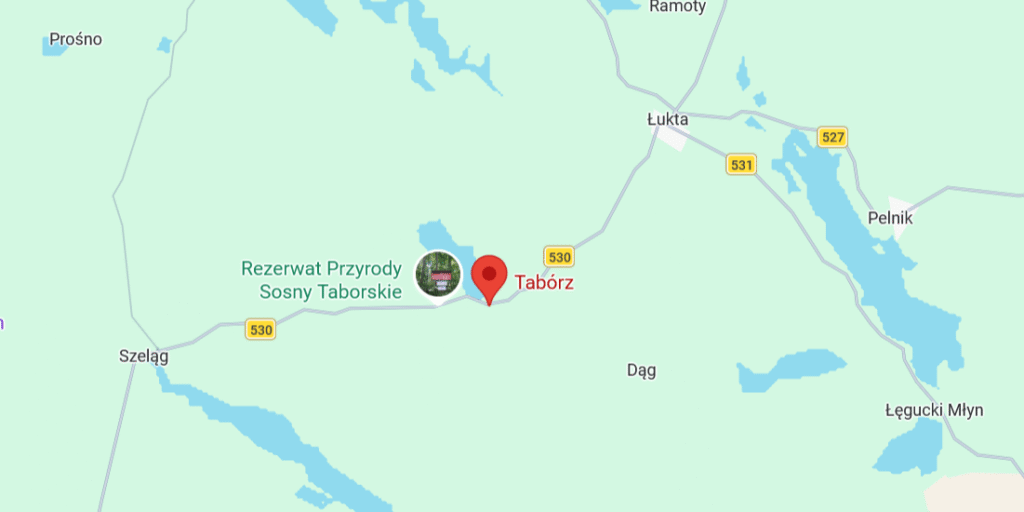 Zdarzenia drogowe w Taborzu. W pojeździe zakleszczeni uczestnicy 2 Zdarzenia Drogowe W Taborzu. W Pojeździe Zakleszczeni Uczestnicy