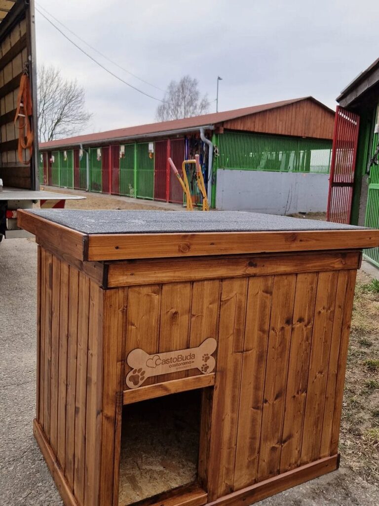 Schronisko w Ostródzie dostało budy od posła Litewki i Castoramy! 7 Schronisko W Ostródzie Dostało Budy Od Posła Litewki I Castoramy!