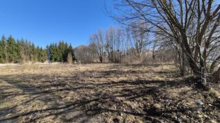 Korty do padla w Ostródzie - zdecdują radni!