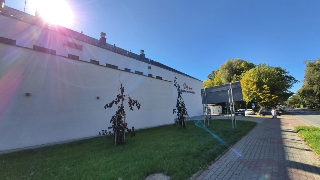 Powiat ostródzki: Nowe oferty pracy (23.02-02.03) 13 Powiat ostródzki: Nowe oferty pracy (23.02-02.03)