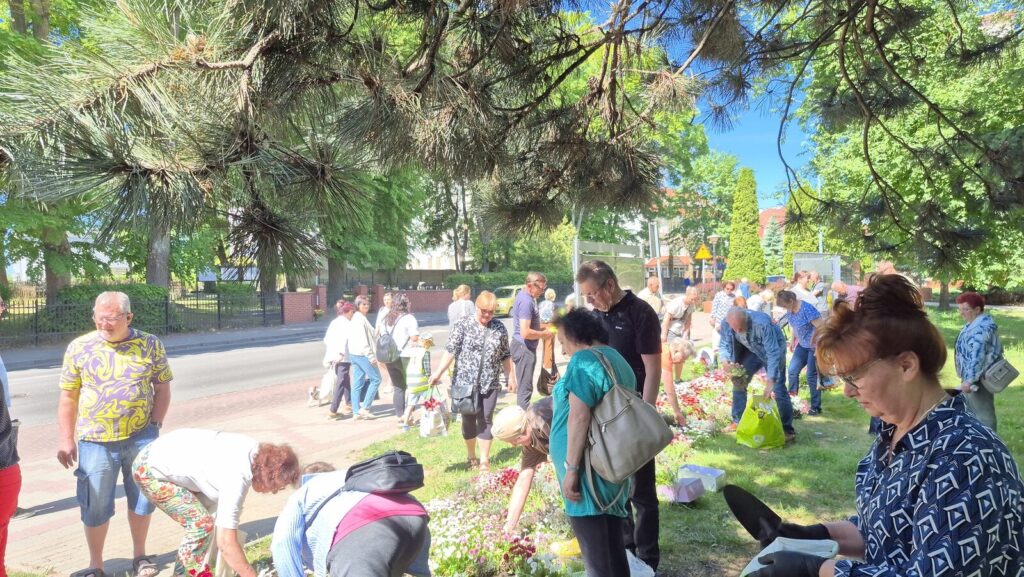 Kwiatkobranie W Ostródzie. Zainteresowanie Przerosło Oczekiwania
