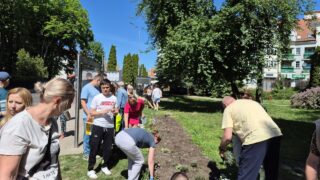 Kwiatkobranie w Ostródzie. Zainteresowanie przerosło oczekiwania