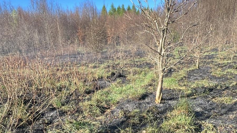 Pożar Lasu Przerwał Świętowanie Strażakom Z Gminy Ostróda!