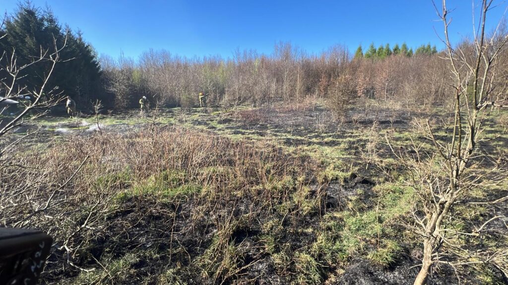 Pożar Lasu Przerwał Świętowanie Strażakom Z Gminy Ostróda!