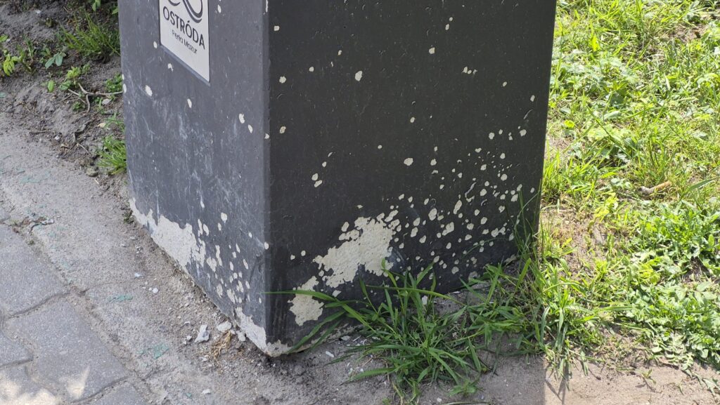Naprawy Śmietników W Ostródzie Nie Będzie. Wykonawca Znalazł Inne Wyjście!