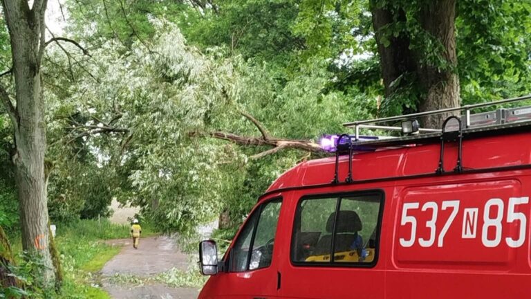 Brak Prądu W Powiecie Ostródzkim. Energa Operator Informuje O Masowych Awariach