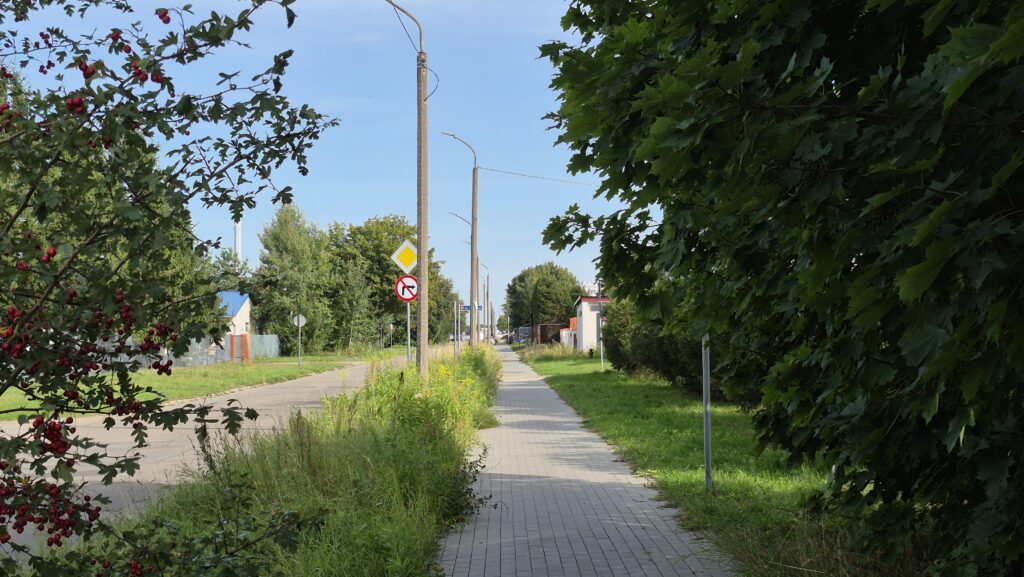 3 lata radny Legucki walczy o koszenie trawy na ulicy Łódzkiej! "To jest wkurzające" 3 3 Lata Radny Legucki Walczy O Koszenie Trawy Na Ulicy Łódzkiej! &Quot;To Jest Wkurzające&Quot;