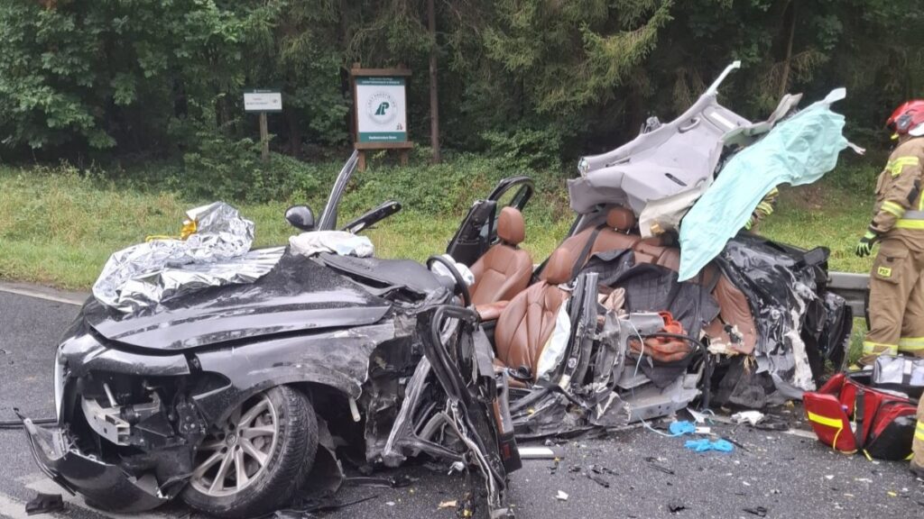 Wypadek na DK16 pod Tyrowem. Zderzenie osobówki i ciężarówki. Zginął pies 3 Wypadek Na Dk16 Pod Tyrowem. Zderzenie Osobówki I Ciężarówki. Zginął Pies